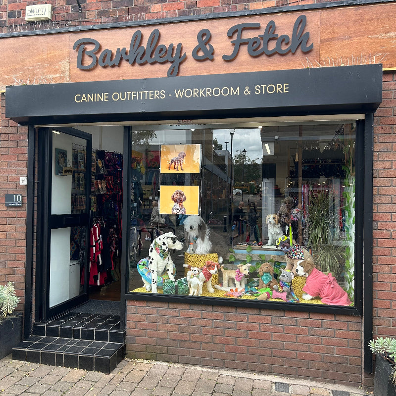 Storefront of Barkley & Fetch with dog-themed products displayed in the window.