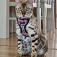 bengal cat in a dining room wearing a pink check cat harness by PURRL handmade by Barkley And Fetch