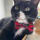 black and white cat wearing PURRL red tartan bowtie handmade in the UK by Barkley And Fetch