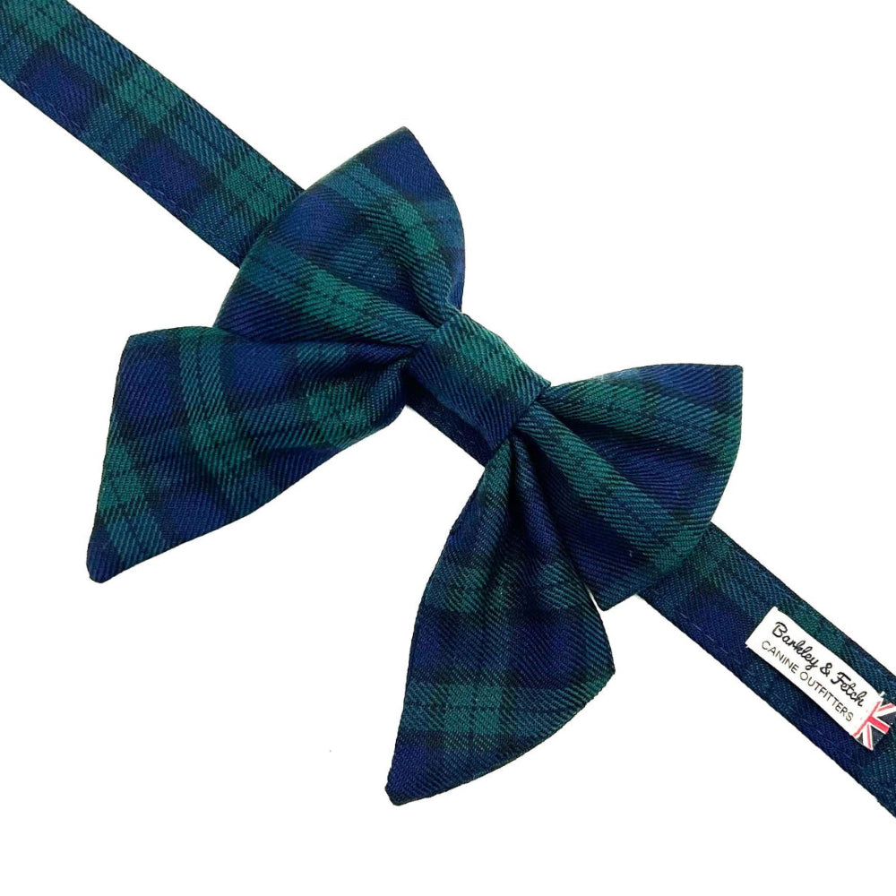 Green plaid bow tie and collar set on a white background