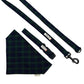 Green plaid dog bandana and leash set on a white background