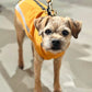 Softshell Dog Coat with full zip