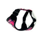 Plaid patterned dog harness on a white background