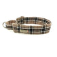 Plaid dog collar with visible barkley and fetch brand name on a white background