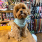 Small dog wearing a light green coat in a store with pet supplies in the background