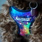 Rainbow Galaxy Fabric Harness