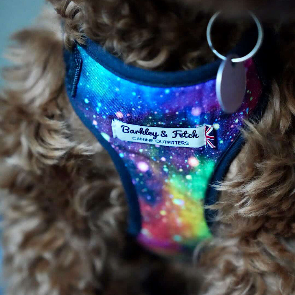 Rainbow Galaxy Fabric Harness
