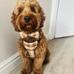 Brown dog wearing a plaid bow tie and harness sitting on a wooden floor handmade by barkley and fetch uk