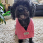 black cockapoo in a pink bathrobe on a tufty rug in front of a leather sofa