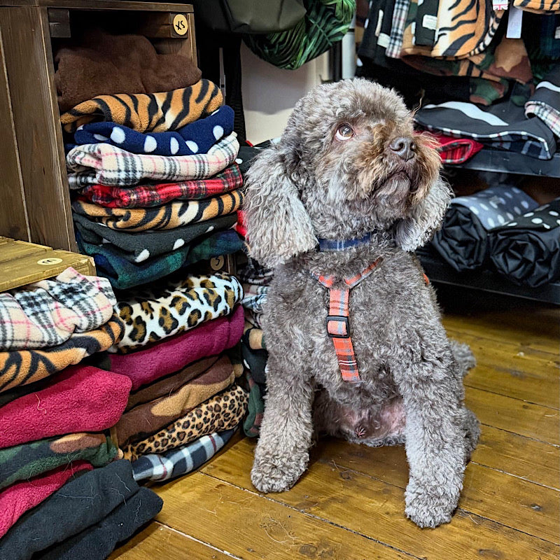 Dog sitting in front of a pile of folded clothes on a wooden floor handmade by Barkley and fetch uk