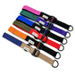 Set of colorful dog collars with buckles on a white background handmade by barkley and fetch uk