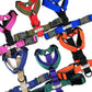 A collection of Colour Block Webbing Harnesses in various colorus displayed on a white background handmade by Barkley and Fetch UK