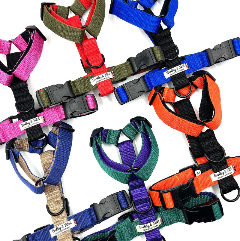 A collection of Colour Block Webbing Harnesses in various colorus displayed on a white background handmade by Barkley and Fetch UK