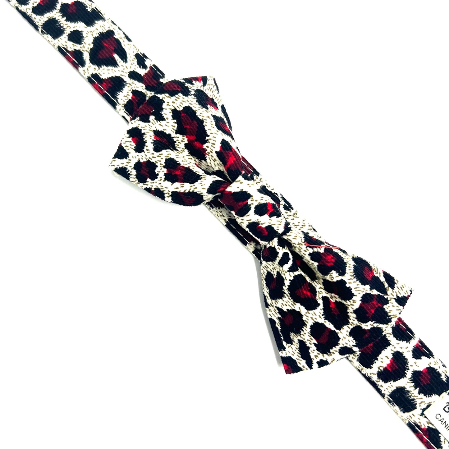 Leopard print bow tie on a white background