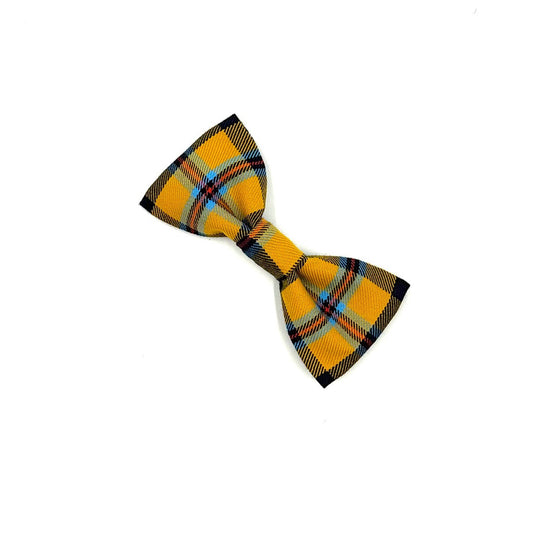 Plaid bow tie with yellow, blue, and black pattern on a white background