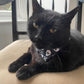 Halloween Cat Bandanas