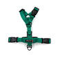 Essential Cushion Webbing Dog Harness