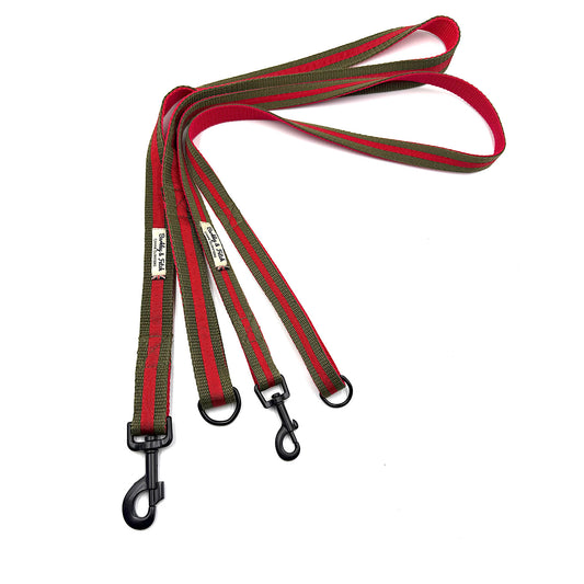 Red and green striped dog leash with black clip on a white background