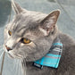 grey cat outside wearing PURRL bandana
