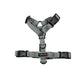 Essential Cushion Webbing Dog Harness