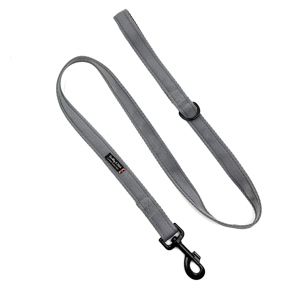 Essential Cushion Webbing Dog Lead