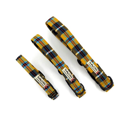 Three yellow tartan dog collars with visible branding on a white background