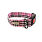 Pink and black plaid dog collar with a red button on a white background