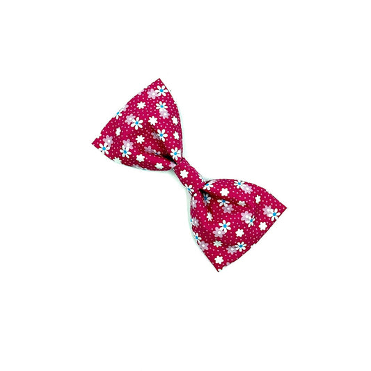 Pink dog bow with white floral pattern on a white background
