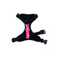 Cat harness by PURRL on a white background, handmade by Barkley and Fetch