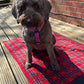 Dog sitting on a red plaid mat with a brick wall in the background
