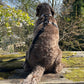 back labradoodle wearing black flash barkley and fetch harness sat on a railway sleeper