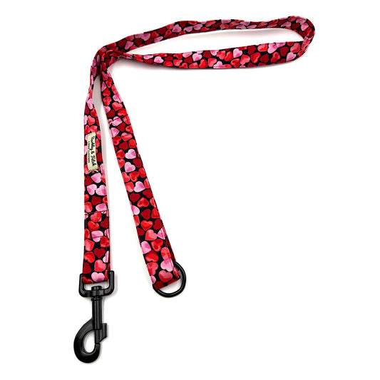 Dog leash with heart pattern on a white background