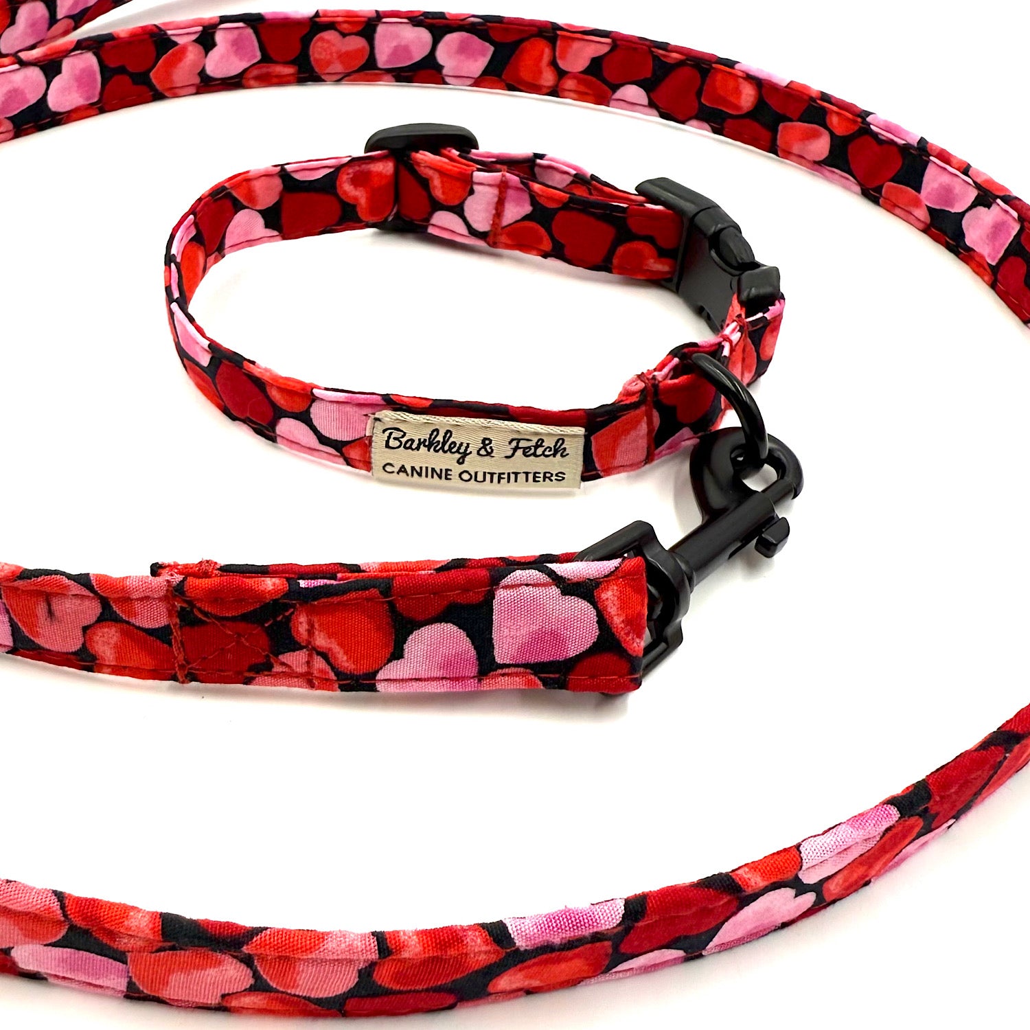 Dog collar and leash set with heart pattern on a white background