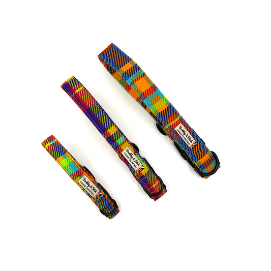 Set of colorful dog collars on a white background