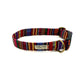 Colorful striped dog collar with a gold buckle on a white background
