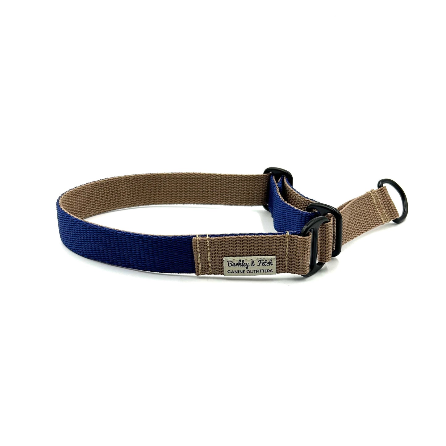 colourful webbing dog slip collar or martingale on a white background handmade by Barkley and Fetch in the UK