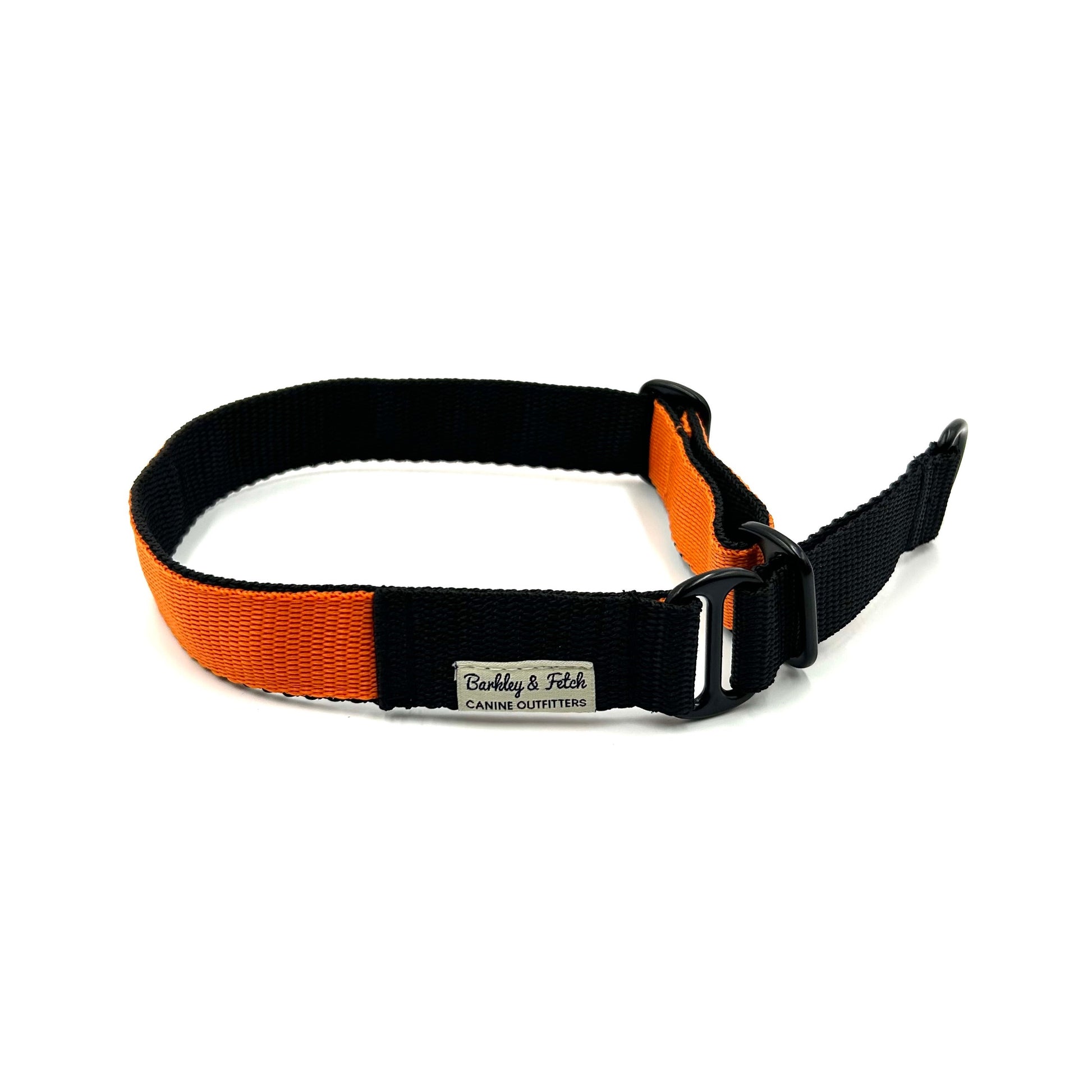 colourful webbing dog slip collar or martingale on a white background handmade by Barkley and Fetch in the UK