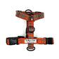An orange and grey tartan strap harness for dogs displayed on a white background, featuring adjustable straps, two side release buckles, and a label with the brand name 'Barkley & Fetch'.