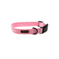 Essential Cushion Webbing Dog Collar