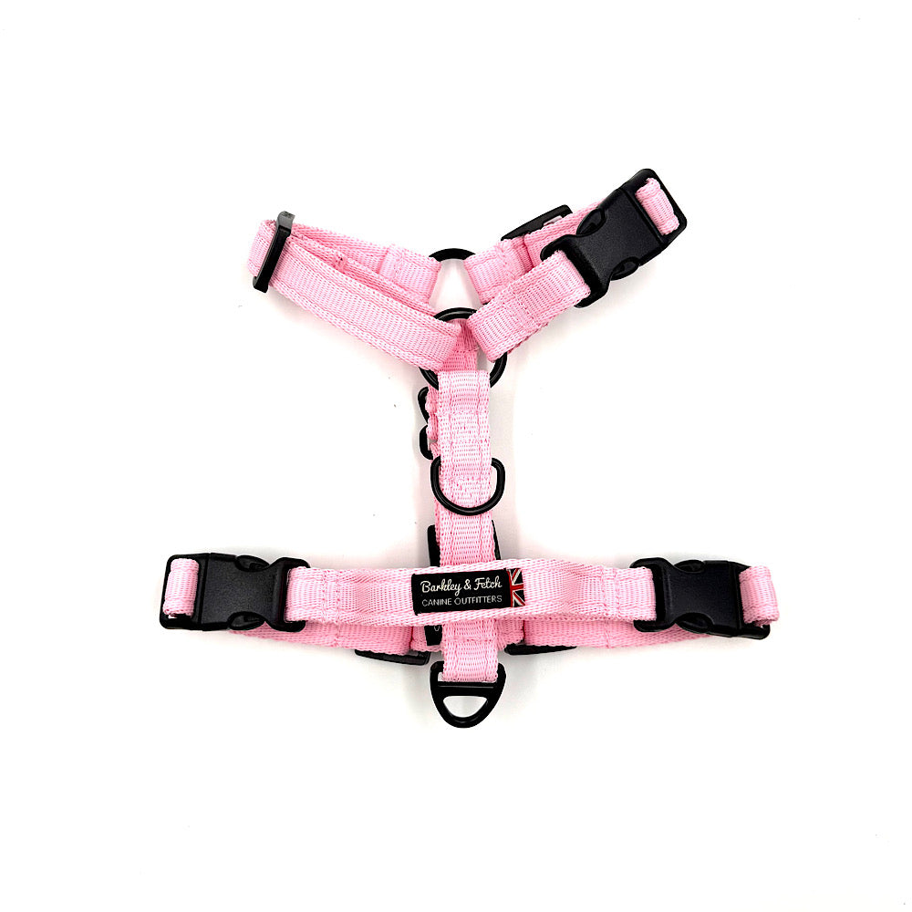 Essential Cushion Webbing Dog Harness