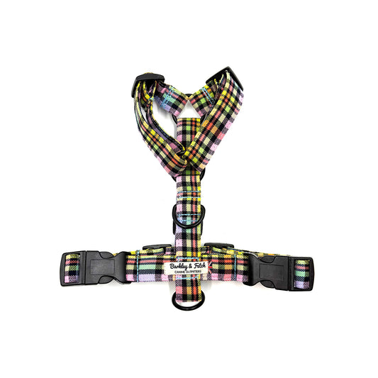 Rainbow Plaid dog harness on a white background handmade in UK by Barkley And Fetch