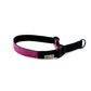 colourful webbing dog slip collar or martingale on a white background handmade by Barkley and Fetch in the UK