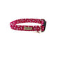 Hot Pink Floral Print Dog Collar