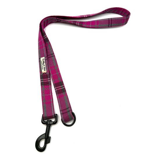 Plaid dog leash with a black clip on a white background