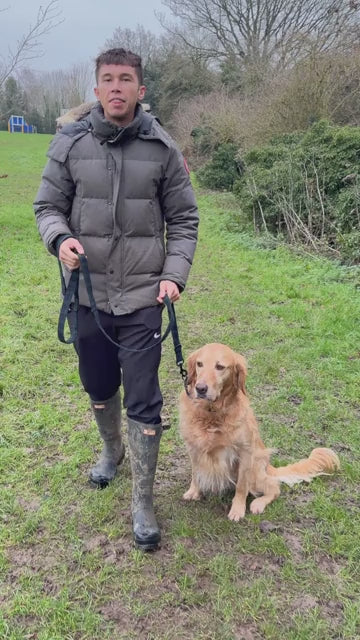 video showing how to use a barkley and fetch multiway lead