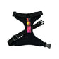 Black dog harness with colorful reflective strip on a white background