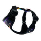 Black dog harness with galaxy pattern on a white background