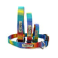 Set of rainbow-colored dog collars and leashes with visible branding on a white background