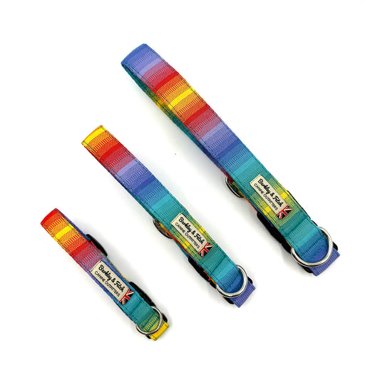 Set of colorful dog collars with visible branding on a white background