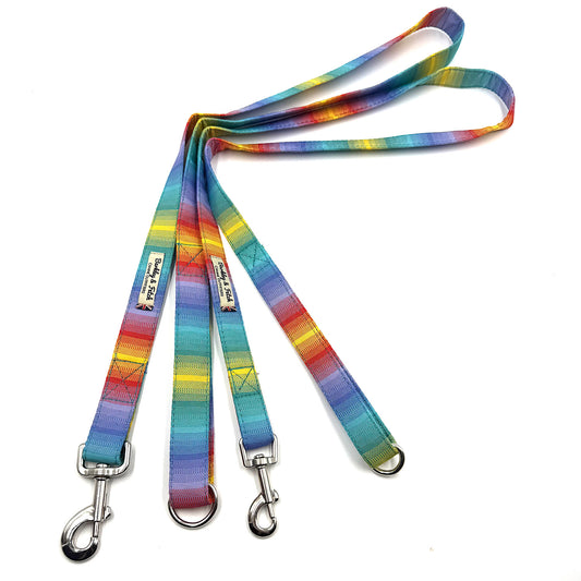 Colorful striped dog leash with metal clips on a white background